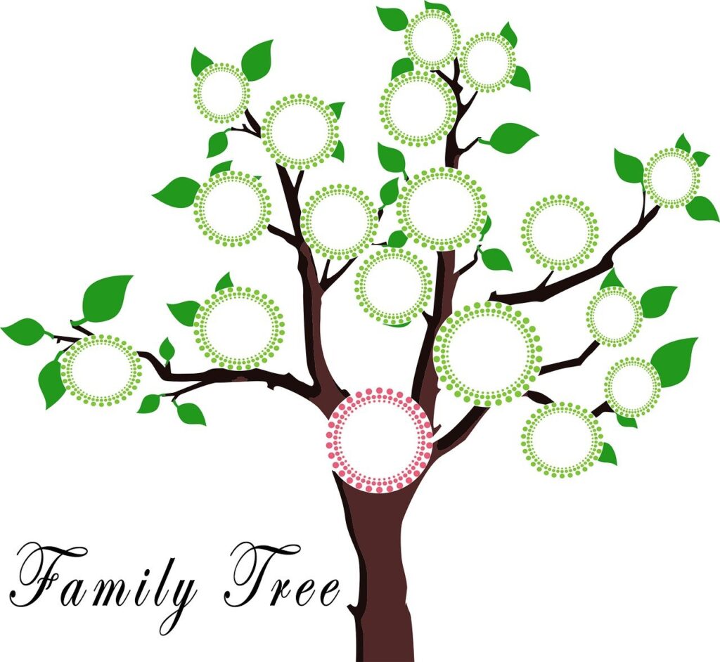 tree, family, education