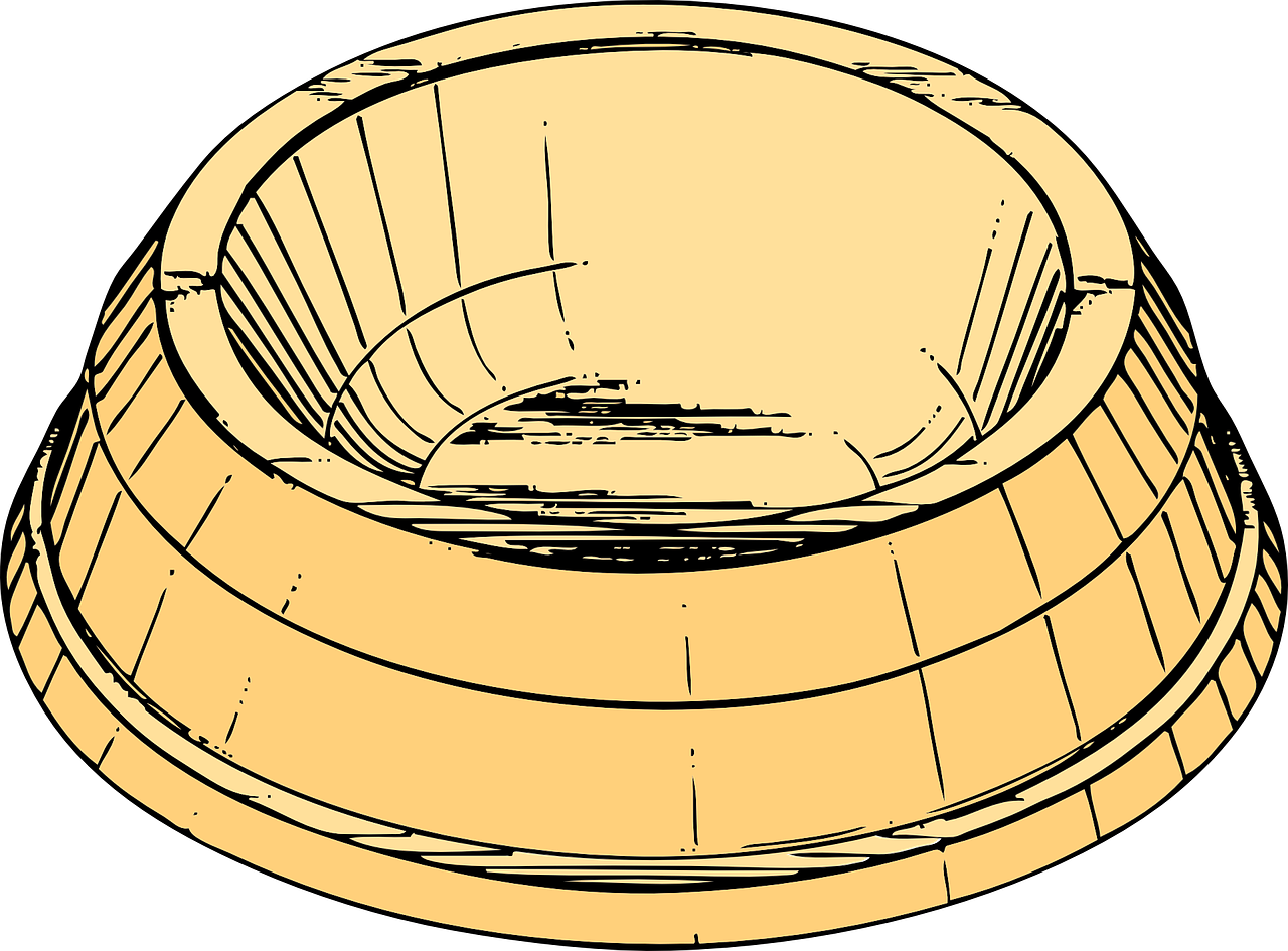 bowl, dish, pet