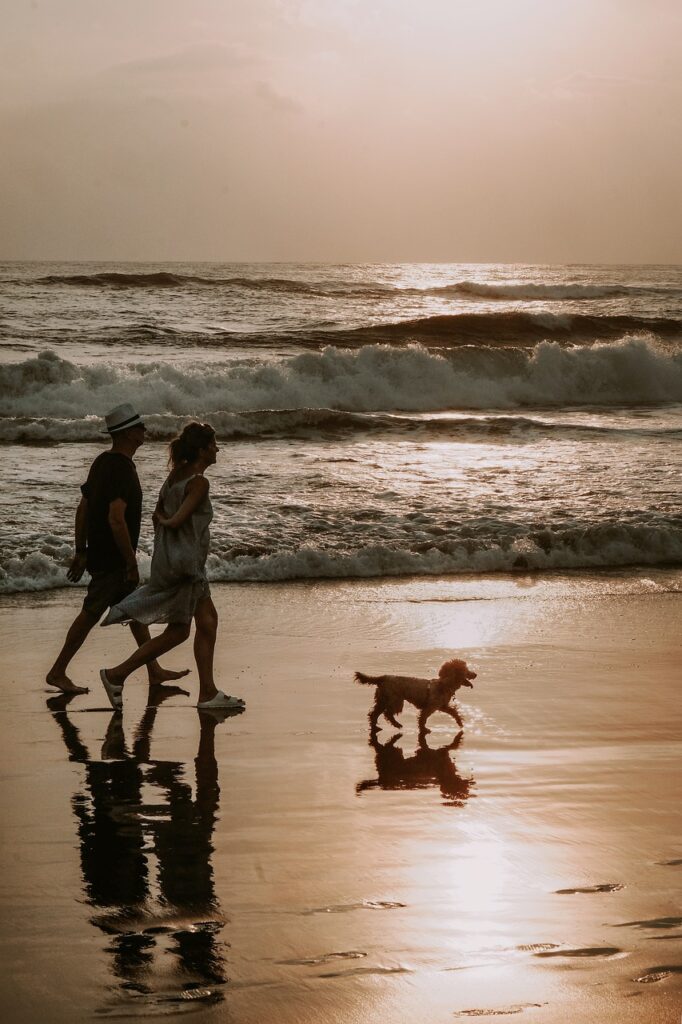 couple, dog, walk