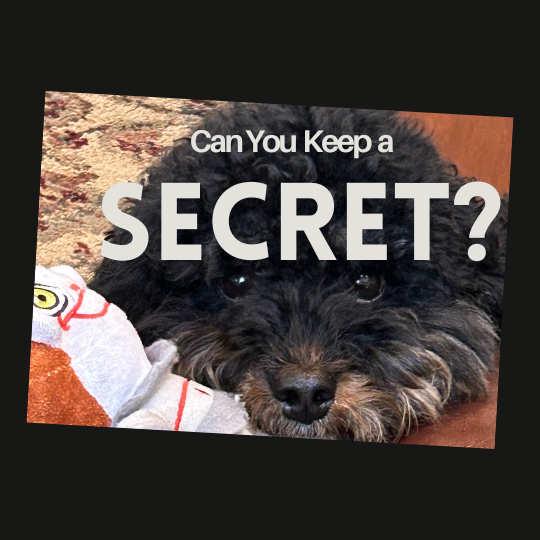 picture of a dog with caption can you keep a secret?