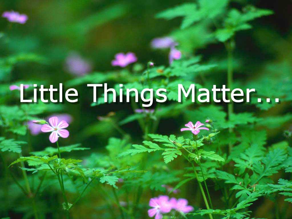 little things matter